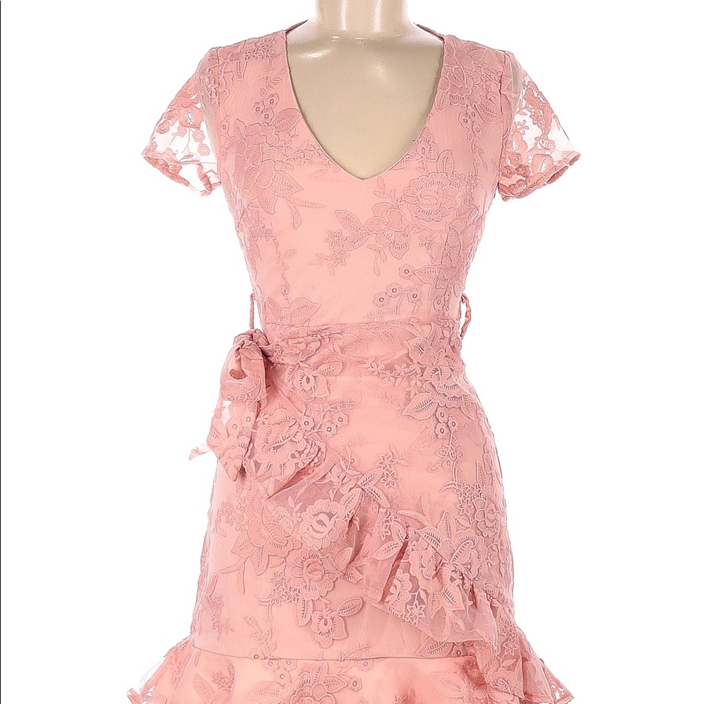 Two Sisters Pink Sister Blush Pink Dress